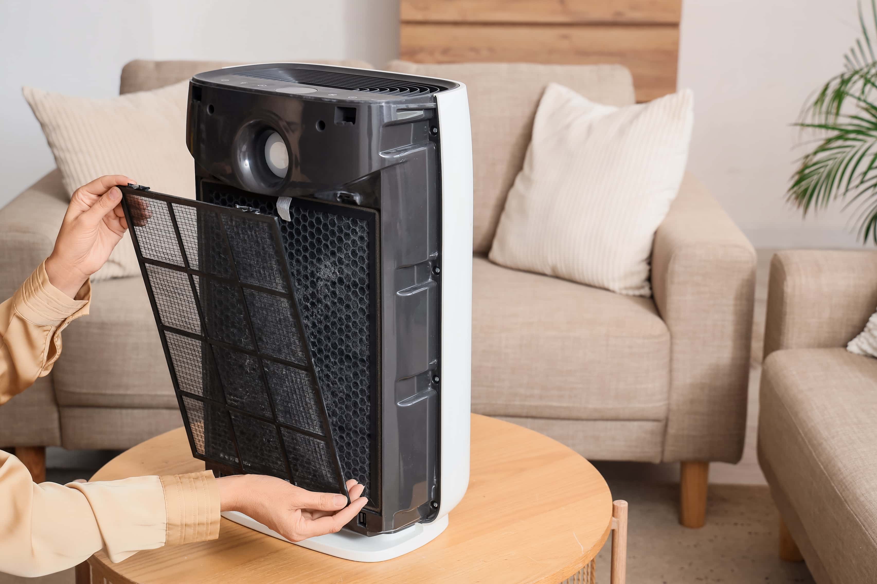 The Best Air Purifiers for Wildfire Smoke: What to Look for in a Canadian Home