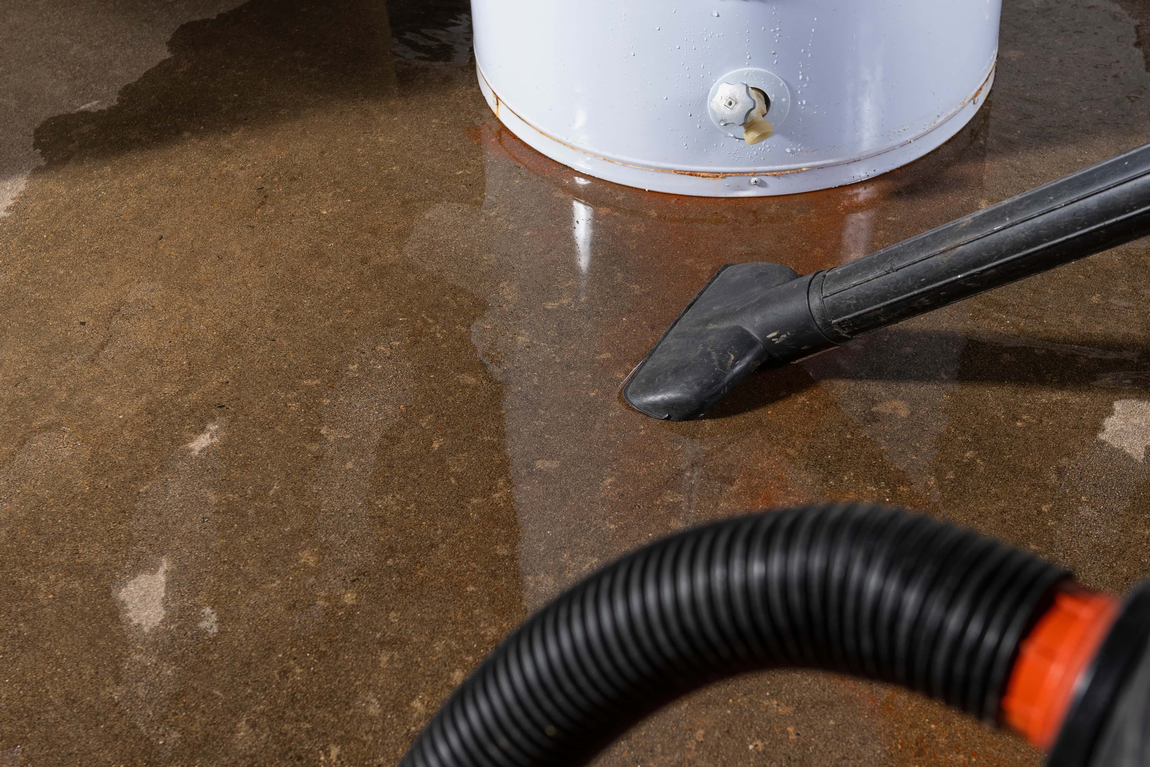Flooded Basement Cleanup: What to Do in the First Day to Limit Damage