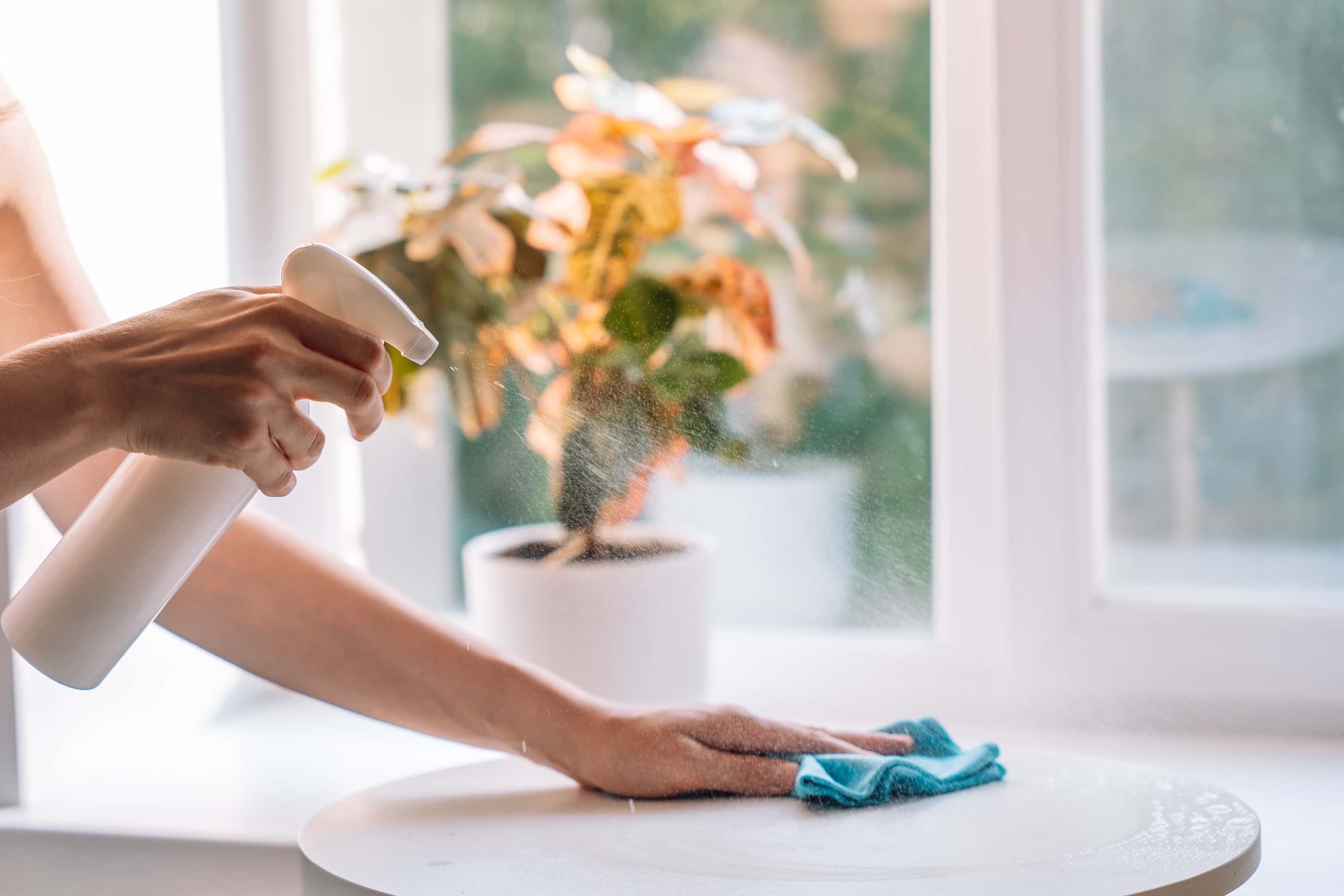 Is Your Home Really As Clean As You Think It Is?