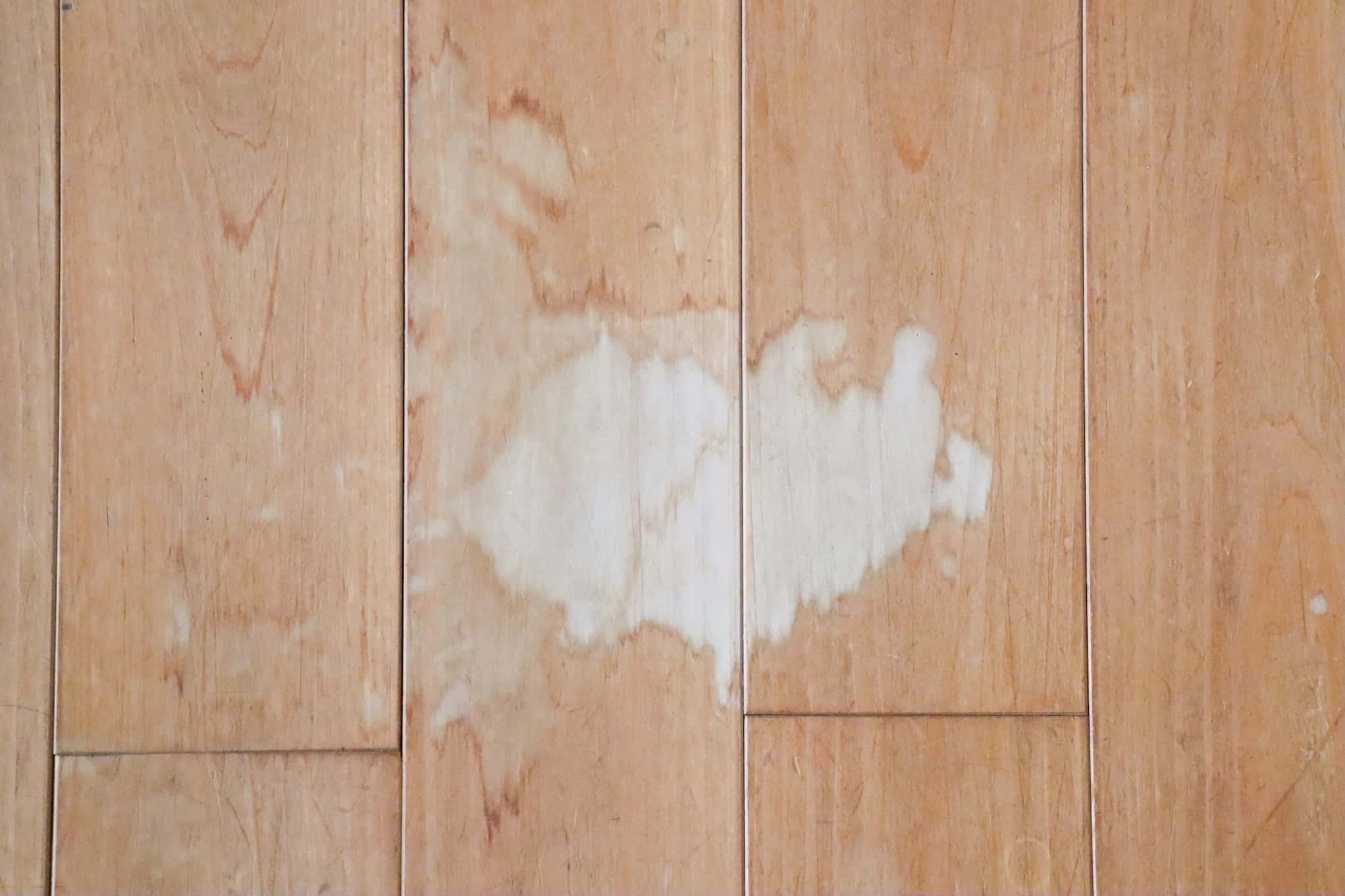 How to Remove Road Salt Stains from Hardwood Floors, Tile, and Rugs