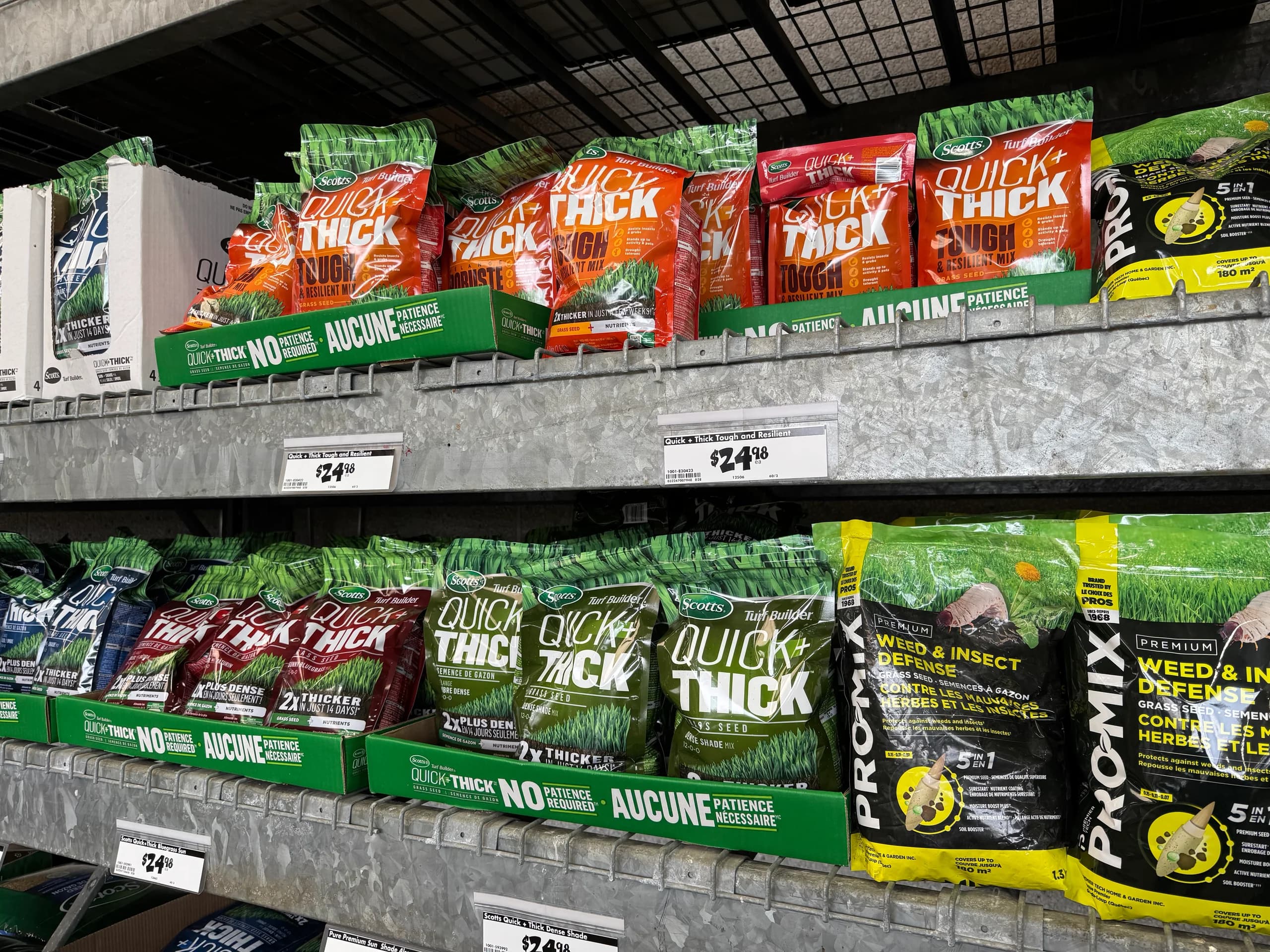 Choosing Grass Seed for Your Lawn: The Quick Match List for Sun, Shade, Pets, and Low-Water Yards
