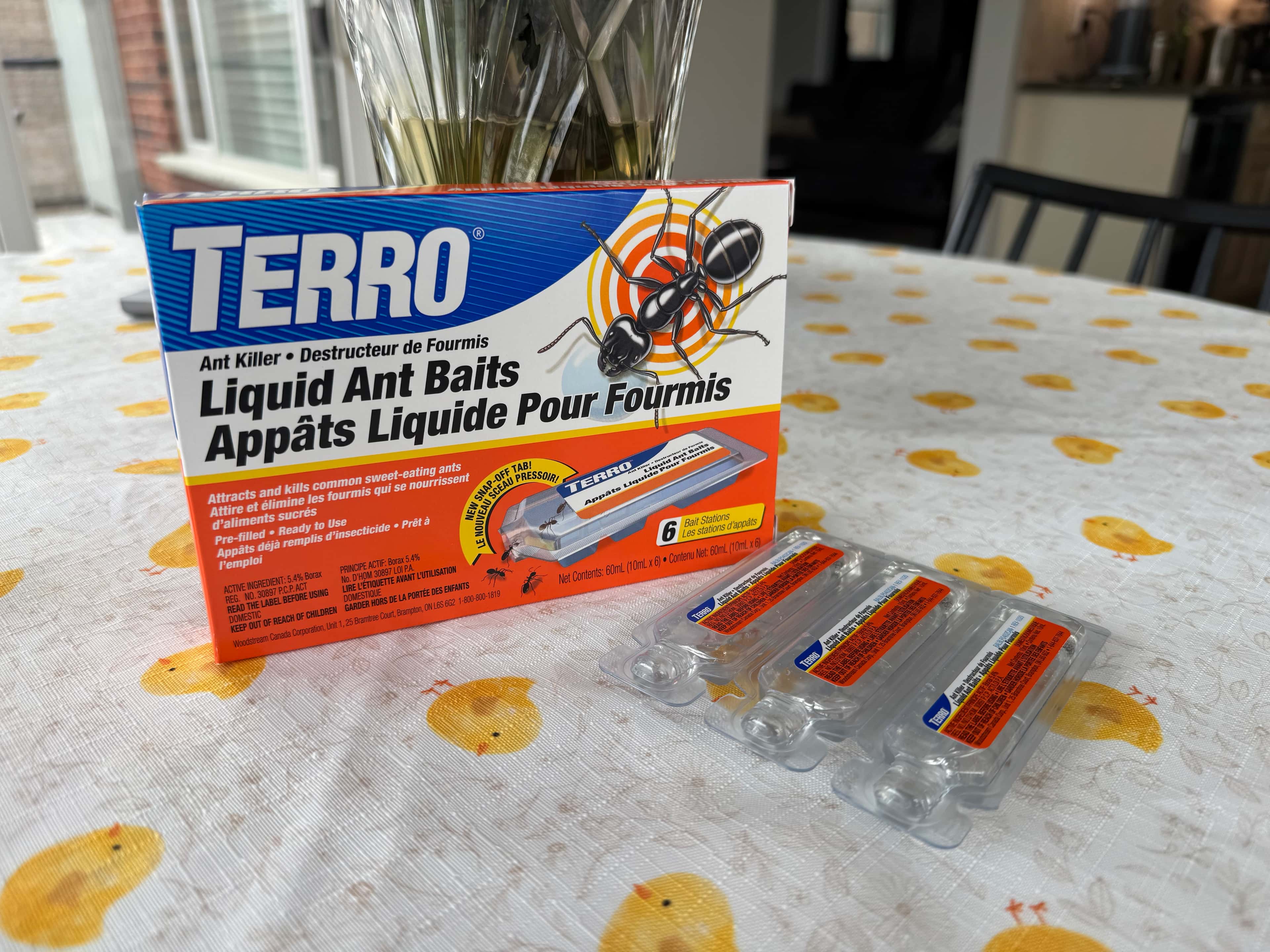 Using TERRO Ant Bait Indoors: Placement Mistakes That Keep Ants Coming Back