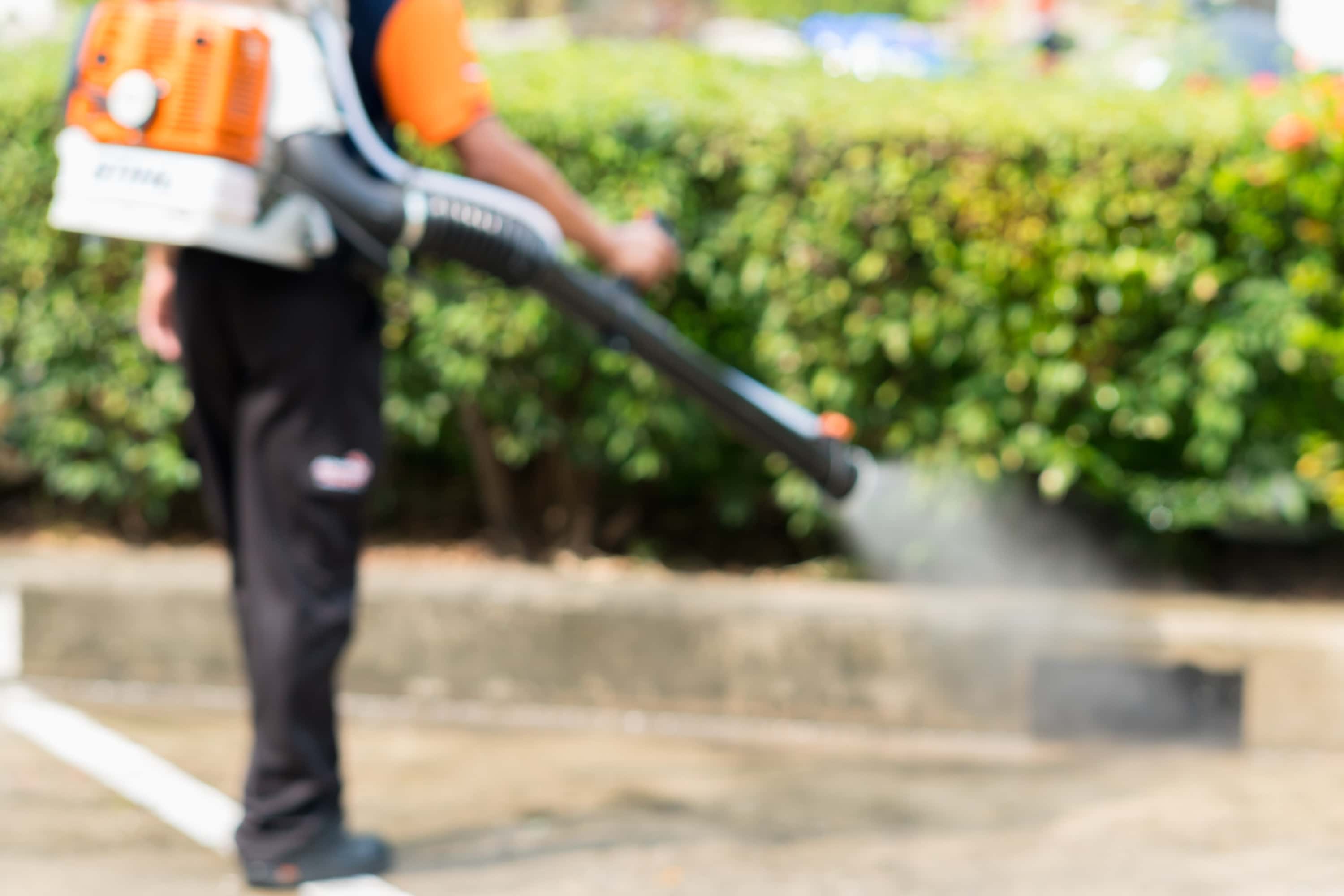 Backyard Mosquito Control in Canada: What Actually Works (And What's a Waste of Money)