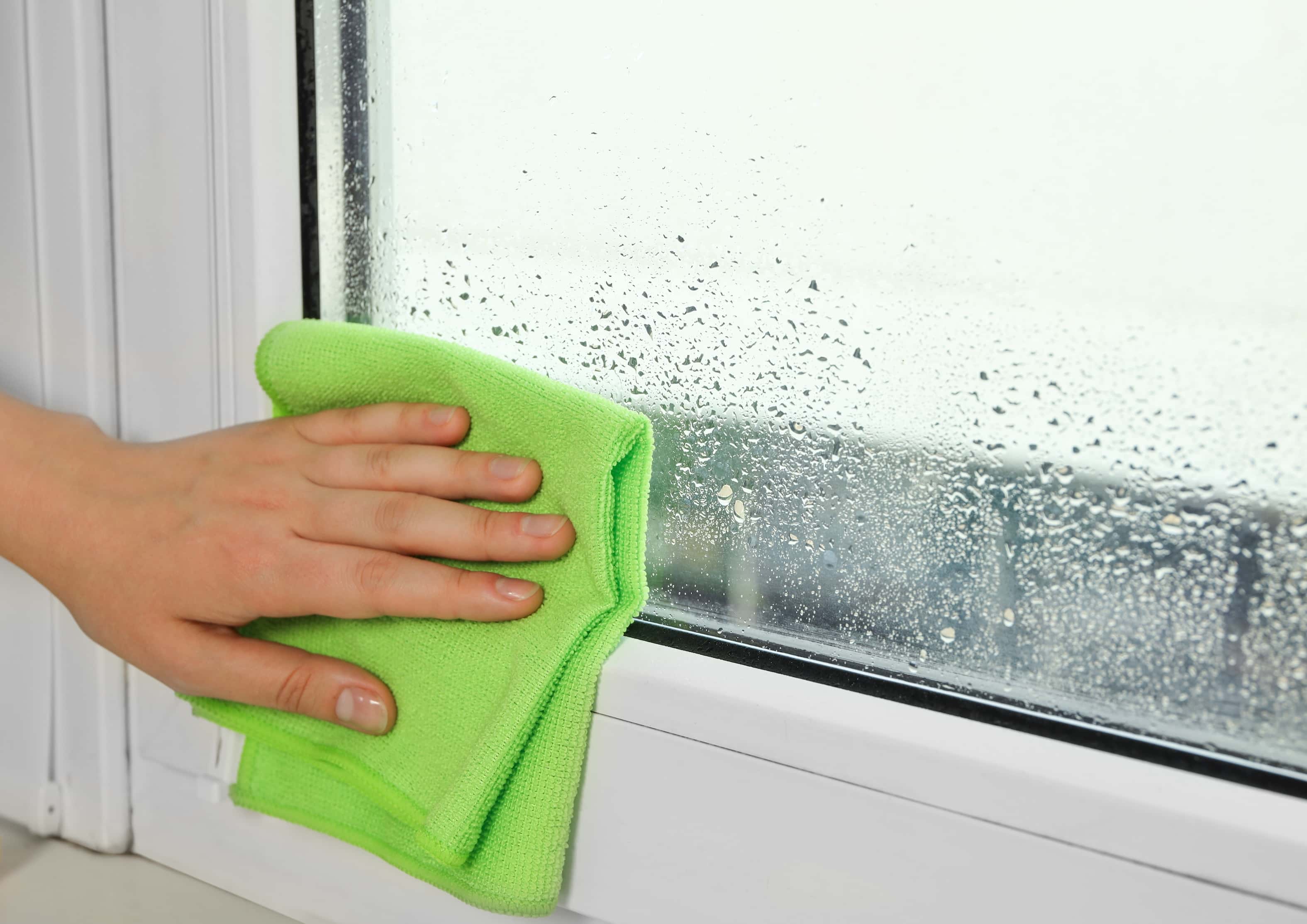 Condensation On Windows: What It Means and How to Fix It
