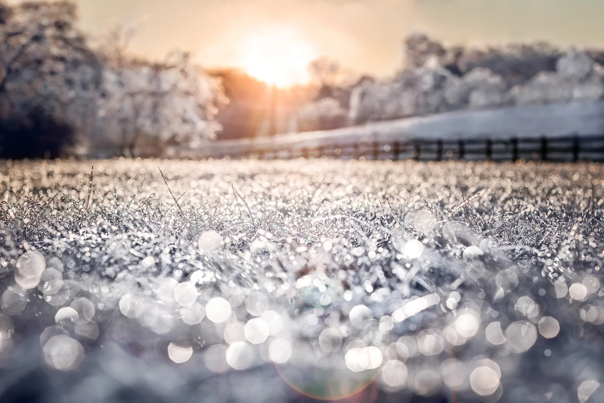 Two Winter Forecasts Just Landed for Canada, and They Don't Agree. Here's What Your House Should Actually Prepare For.